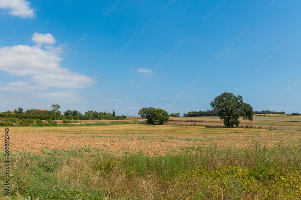 Fototapeta premium Polish countryside, harvested fields, haystacks.