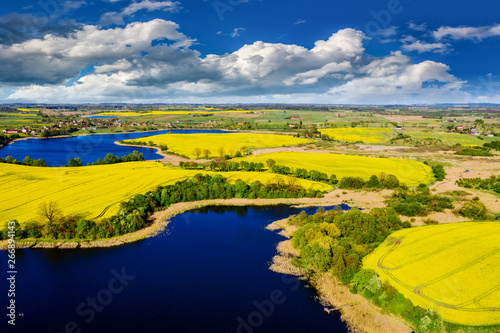 flowering of rapeseed in Warmian-Masurian Voivodeship