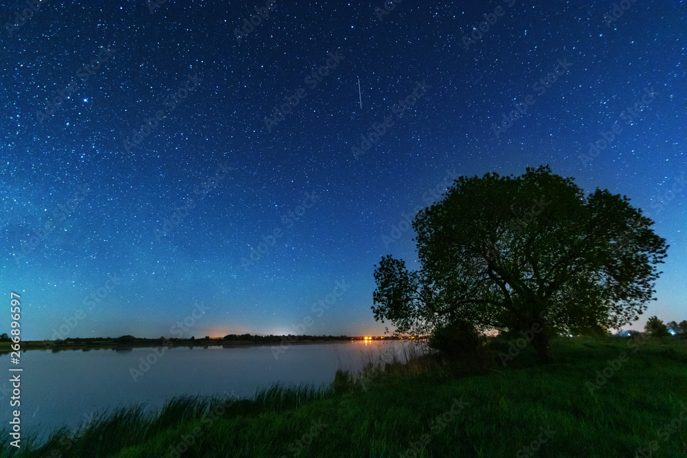 Magic starry night with the galaxy Milky way near the river with a large tree.