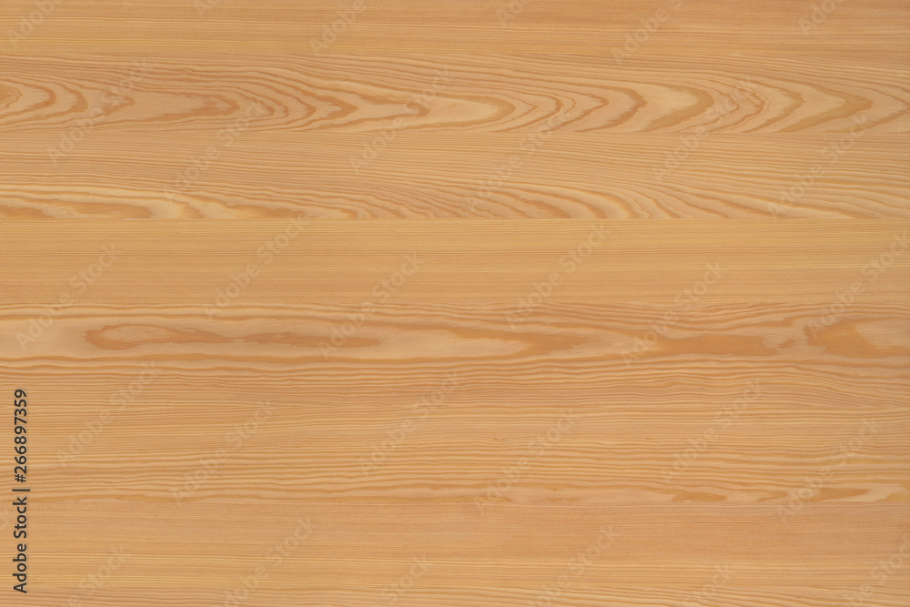 pine tree timber wood surface wallpaper structure texture background pine tree timber wood surface wallpaper structure texture background