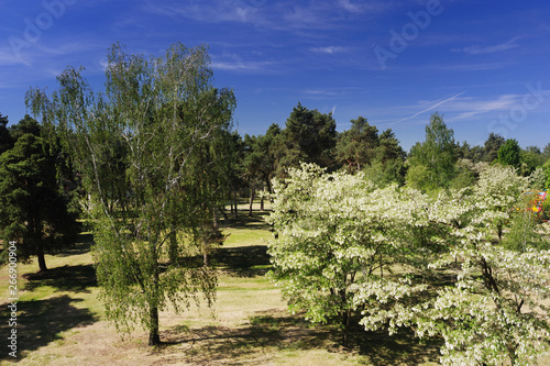 Beautiful view from the window on the green park on a sunny day  background.