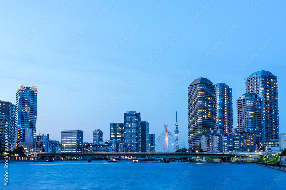 Naklejka premium Nocny widok na rzekę Sumida widziany z Tsukudy