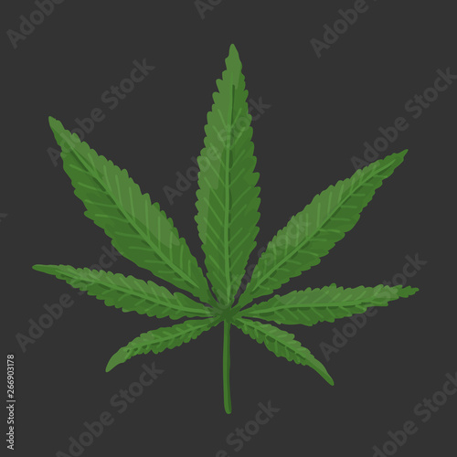 Green Cannabis Leaf. Vector
