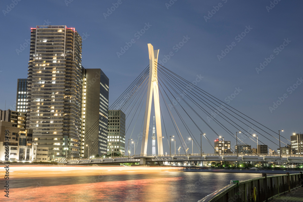 Obraz premium 佃から望む隅田川沿いの夜景