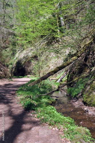 Drachenschlucht Eisenach