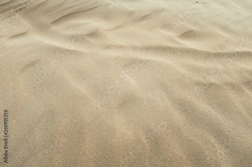 Yellow Wavy Sand Dune Desert Beach Coast Surface Natural Texture. 