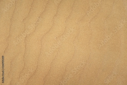 Yellow Wavy Sand Dune Desert Beach Coast Surface Natural Texture. 