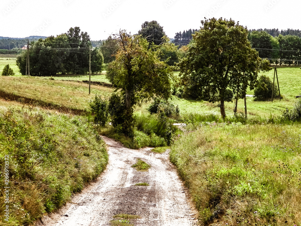 Country road in Kashubian countryside. Poland.