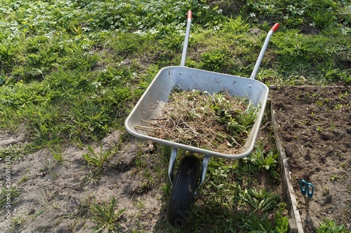 Wallpaper Mural Wheelbarrow to work in the vegetables garden. Torontodigital.ca