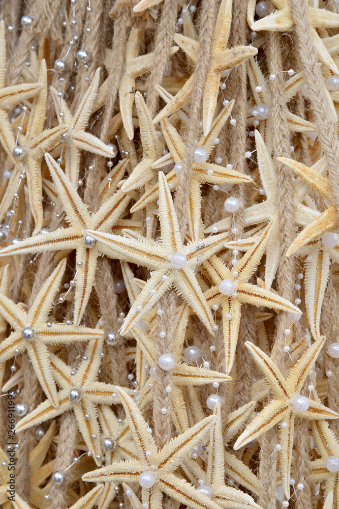 background of starfish background of starfish