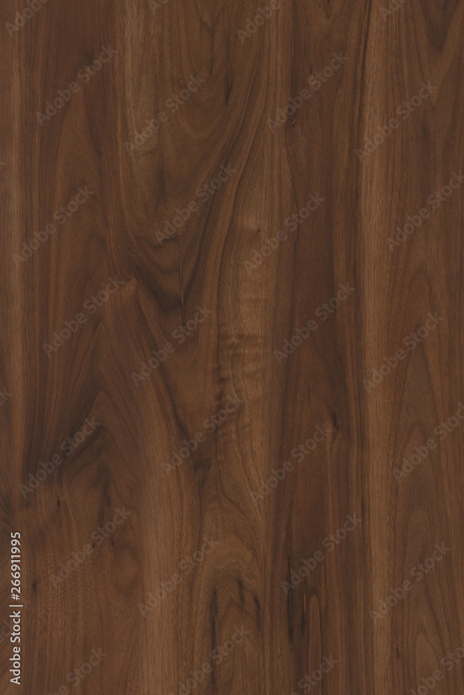 brown walnut tree timber wood structure texture background backdrop brown walnut tree timber wood structure texture background backdrop