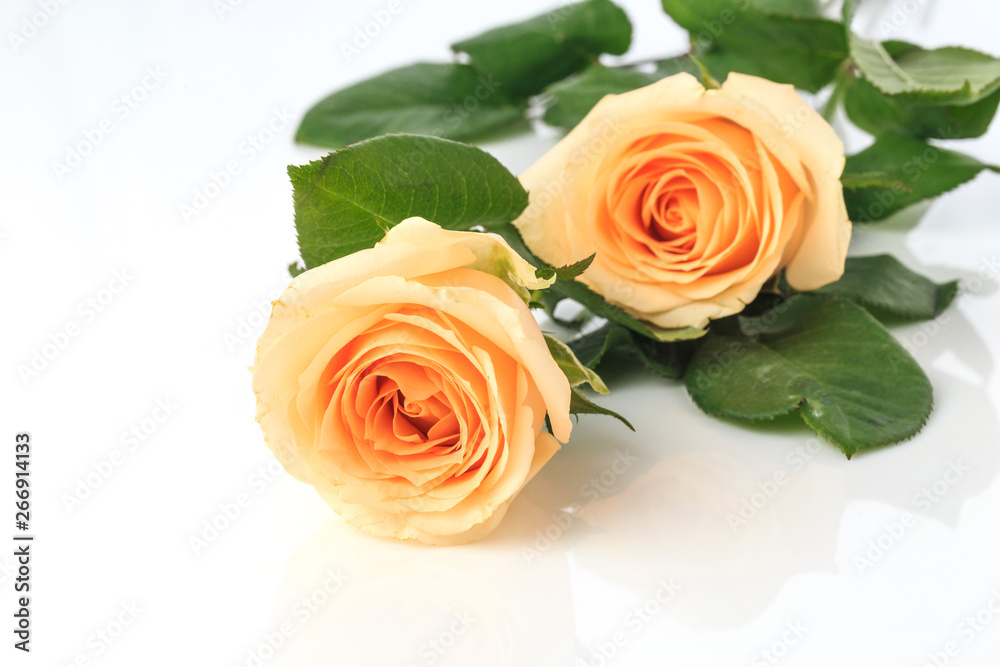 Beautiful and fragrant roses