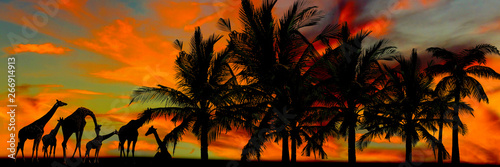 sunset in the jungle