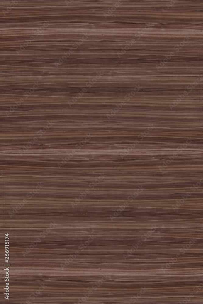 Fototapeta premium wood timber tree wooden backdrop structure texture background wallpaper