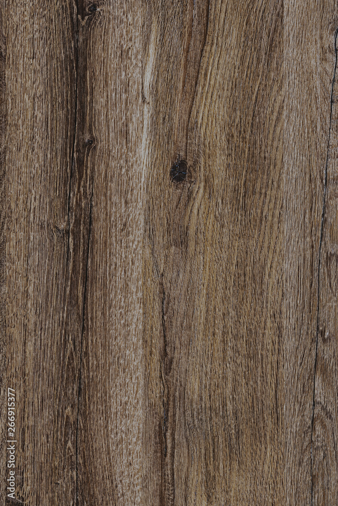 wood timber tree wooden backdrop structure texture background wallpaper wood timber tree wooden backdrop structure texture background wallpaper