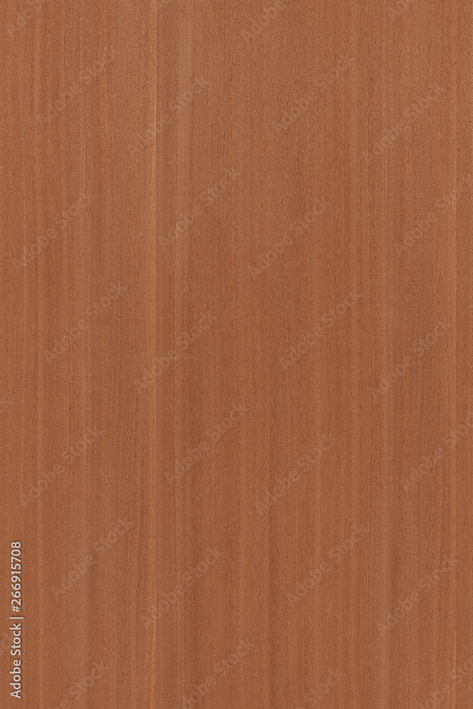 wood timber tree wooden backdrop structure texture background wallpaper wood timber tree wooden backdrop structure texture background wallpaper