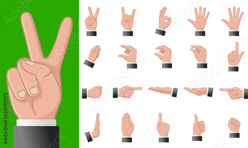 Various gestures of human hands isolated on a white background. Vector flat illustration of female hands in different situations. Vector design elements for infographic, web, internet, presentation
