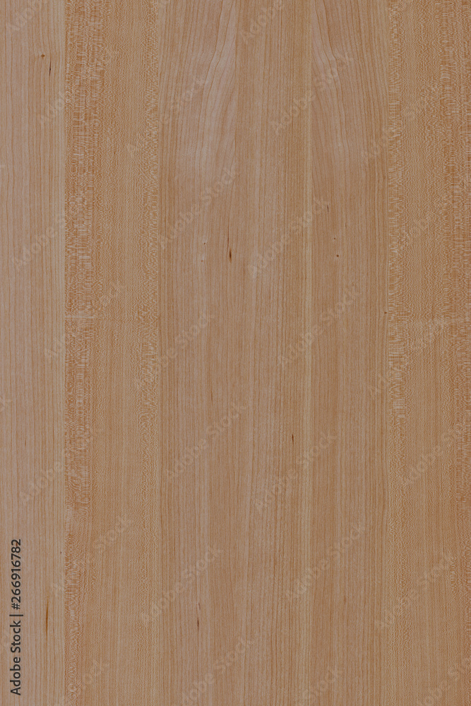 Fototapeta premium wood timber tree wooden backdrop structure texture background wallpaper