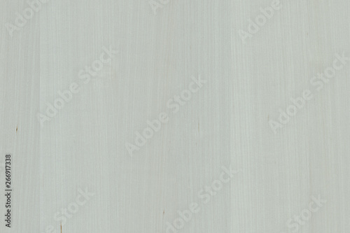 grey timber tree wooden surface wallpaper structure texture background