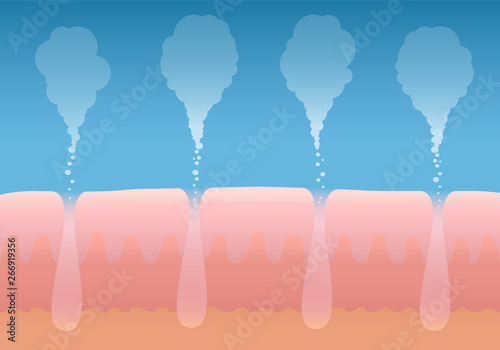 Skin breathing. Human cutaneous respiration. Schematic cross section illustration of layers of skin with pores and its gas exchange.