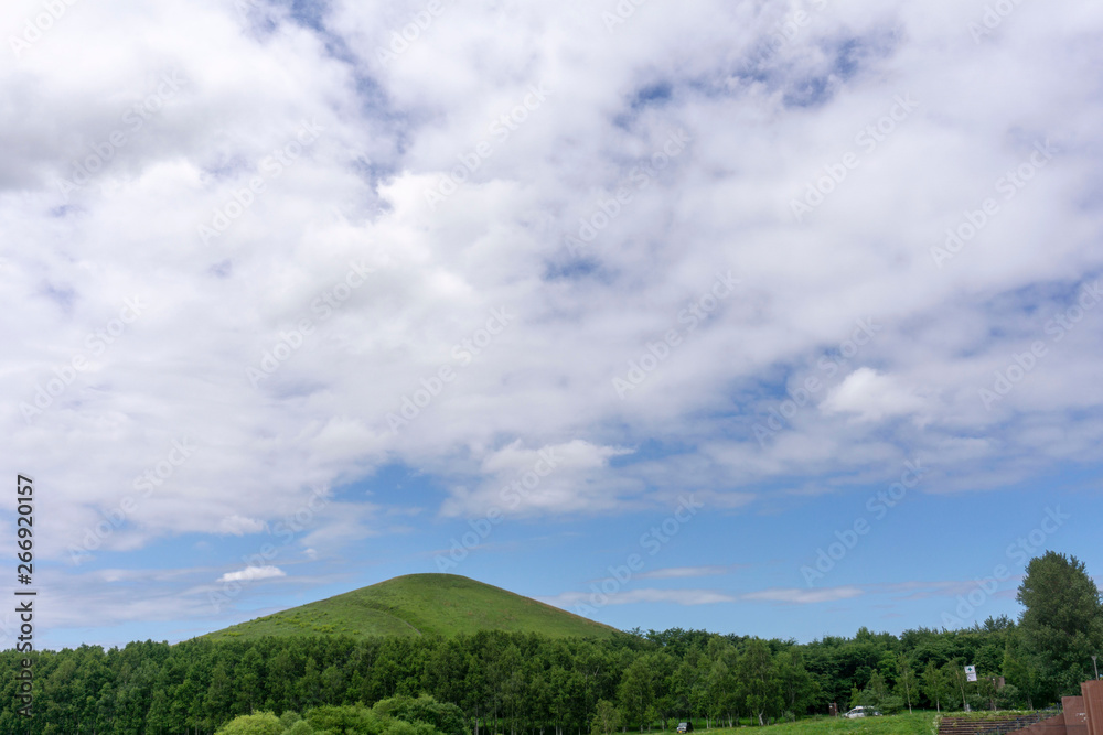 公園内にある大きな山