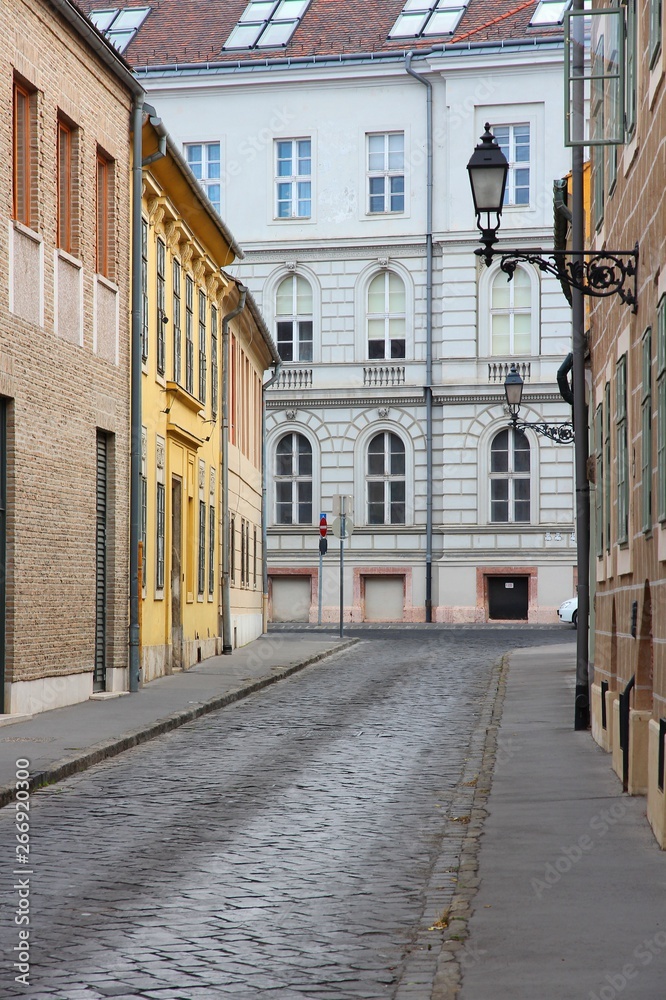 Fototapeta premium Budapest