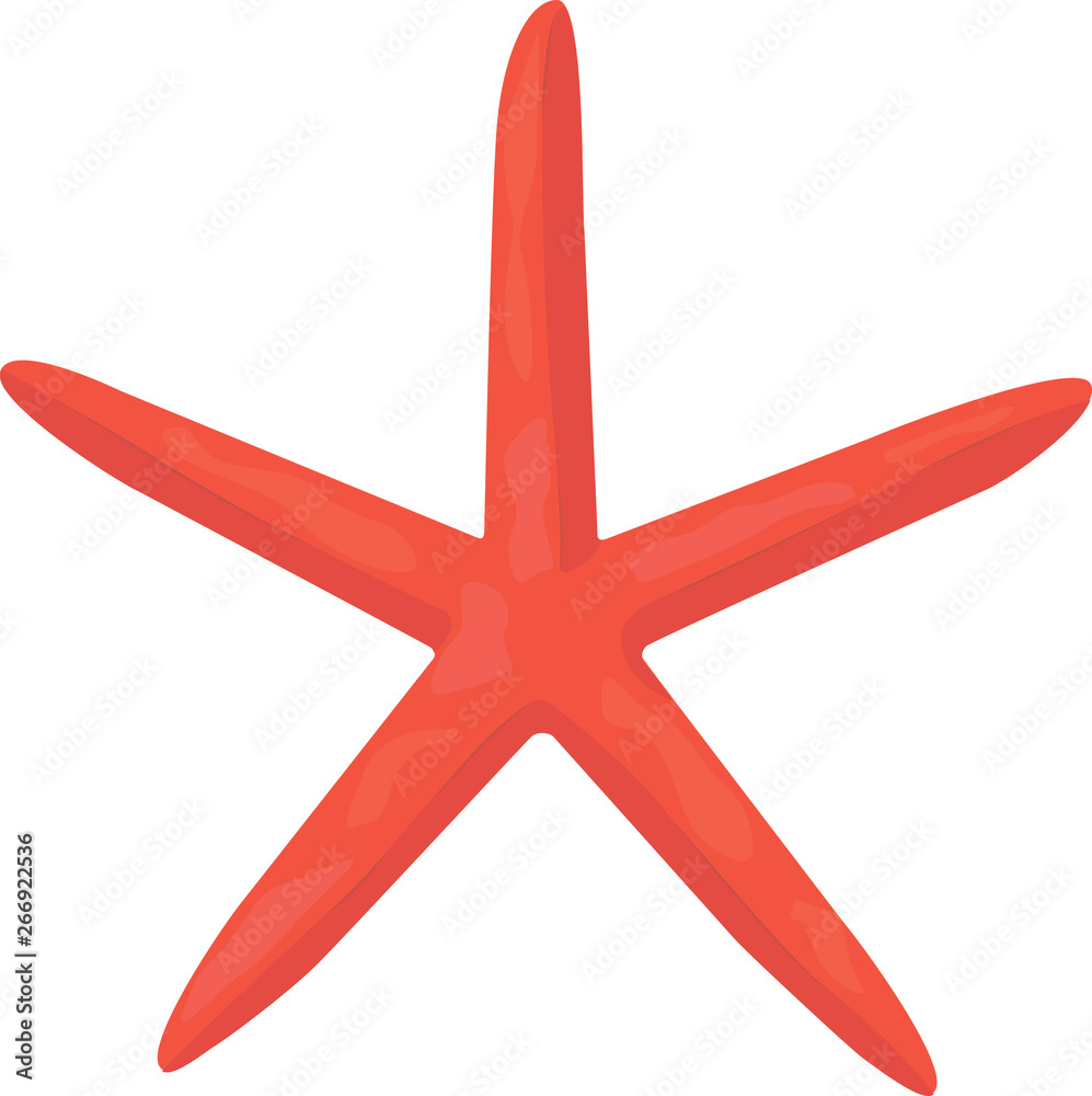 thin starfish, red star of the sea thin starfish, red star of the sea