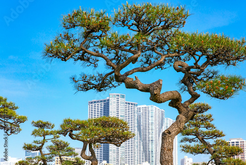 Tokyo, a mixture of modernity and tradition