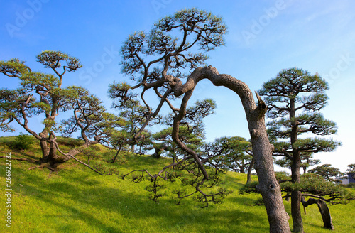 Tokyo, a mixture of modernity and tradition