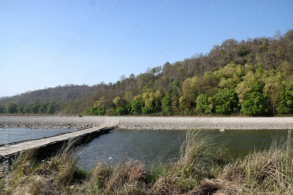 Fototapeta premium Corbett Tiger reserve forest in India