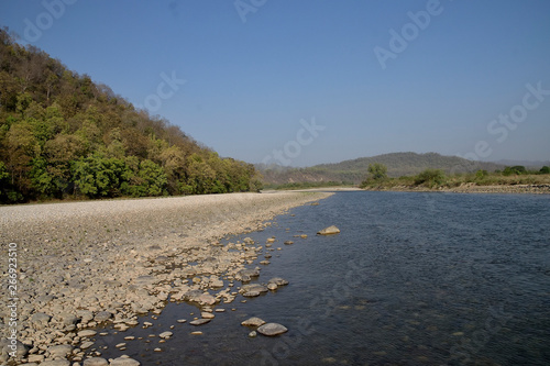 Corbett Tiger reserve forest in India