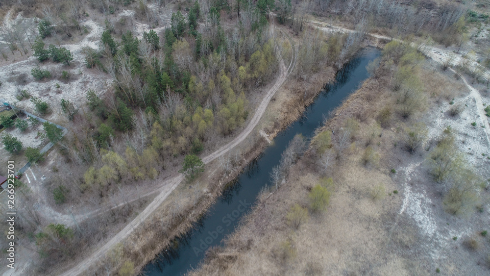 forest landscape with lot of trees and small river 