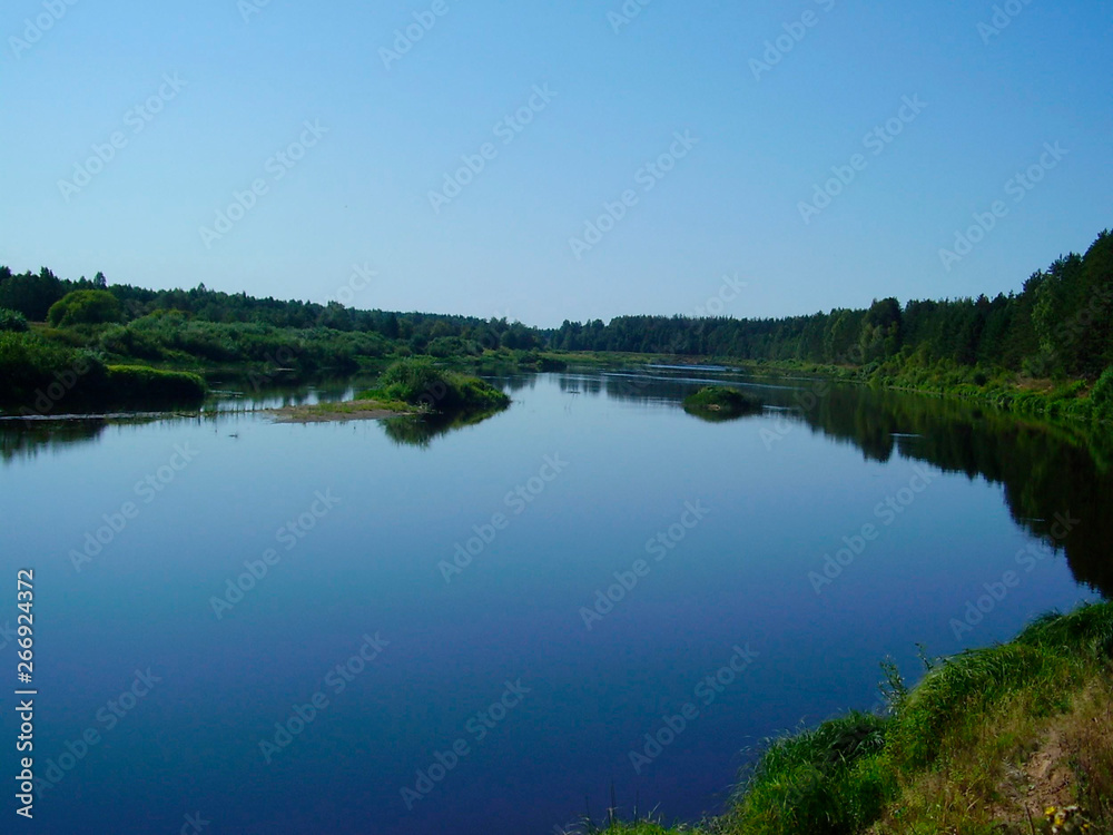 Fototapeta premium Forest and river in the summer