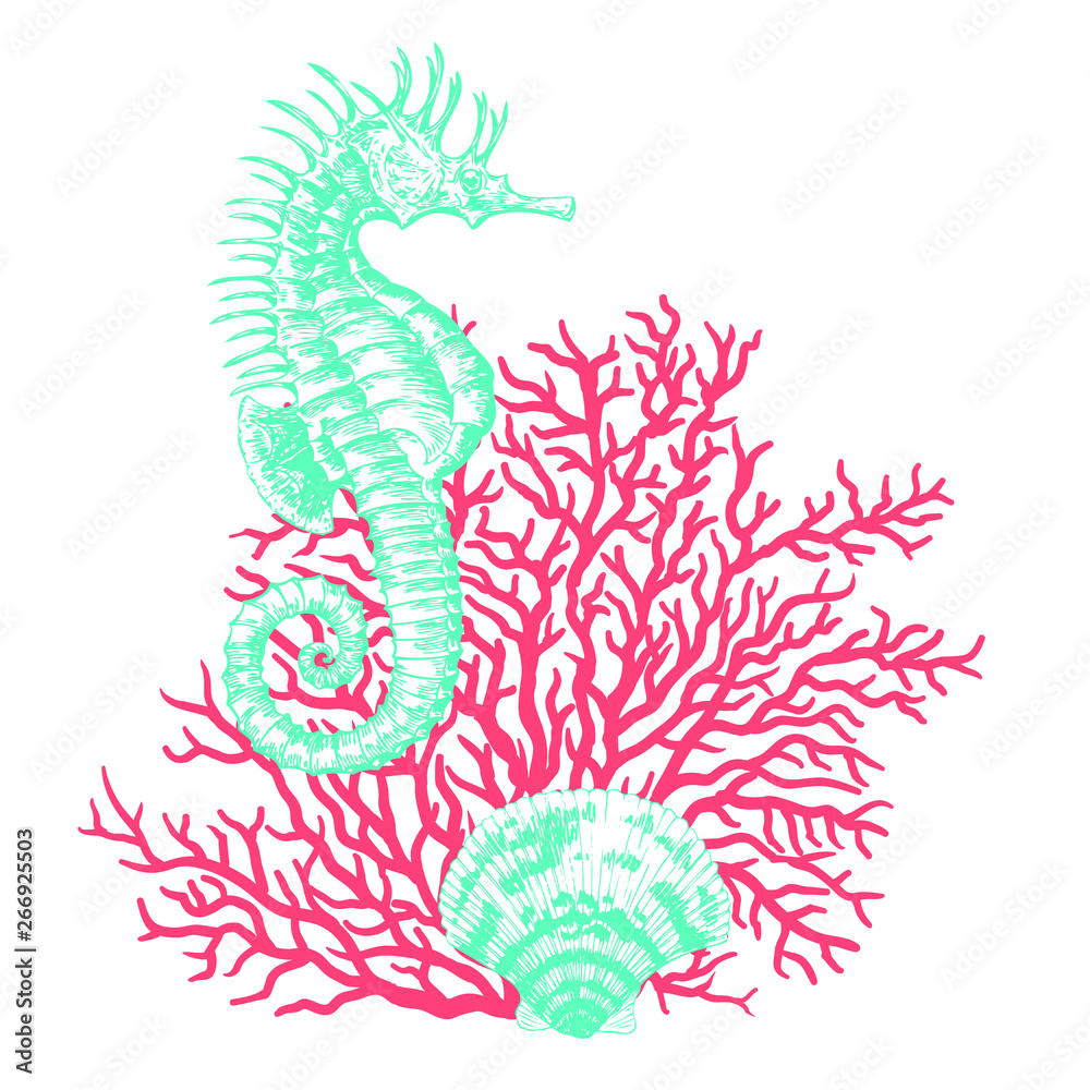Fototapeta premium Sea shells, sea horse, corals