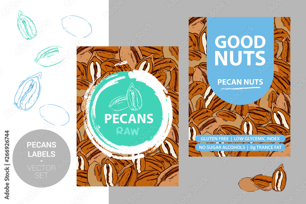 Pecan nuts labels with brush stroke elements and cartoon drawn pecans
