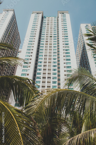 large tall white skyscrapers with the blue windows on a blue sky background look out from behind the green palm trees © tanjakolosjko