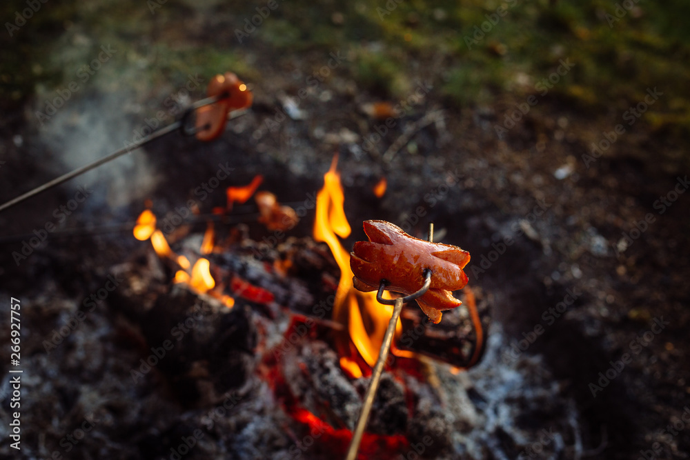 Obraz premium Czech Traditional barbecue sausages on a stick, roasted on a campfire - typical czech outdoor activity with friends or family
