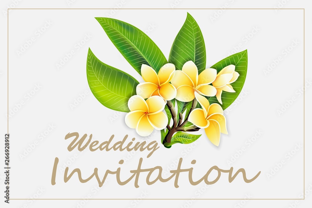 Elegant frame wedding invitation with plumeria flowers on isolated background