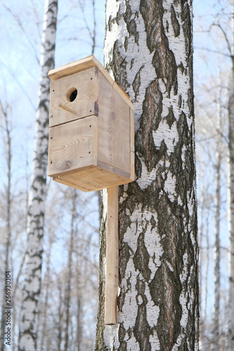 Birdhouse on a birch tree in the forest, close-up.