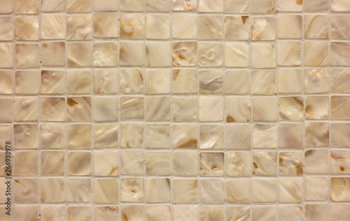 background mozayka tile of small squares of pearl shells