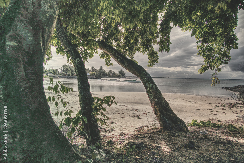 Fishing Boats on beautiful beach with trees Fishing Boats on beautiful beach with trees