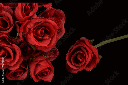 red roses on a black back ground 