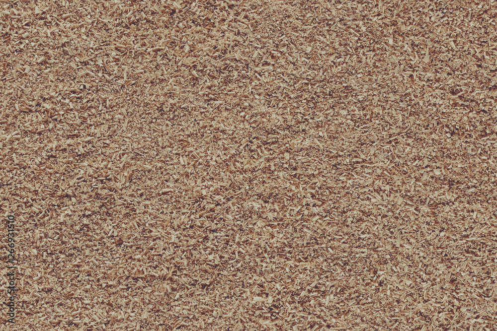 wood chips timber tree wooden backdrop structure texture background wallpaper wood chips timber tree wooden backdrop structure texture background wallpaper