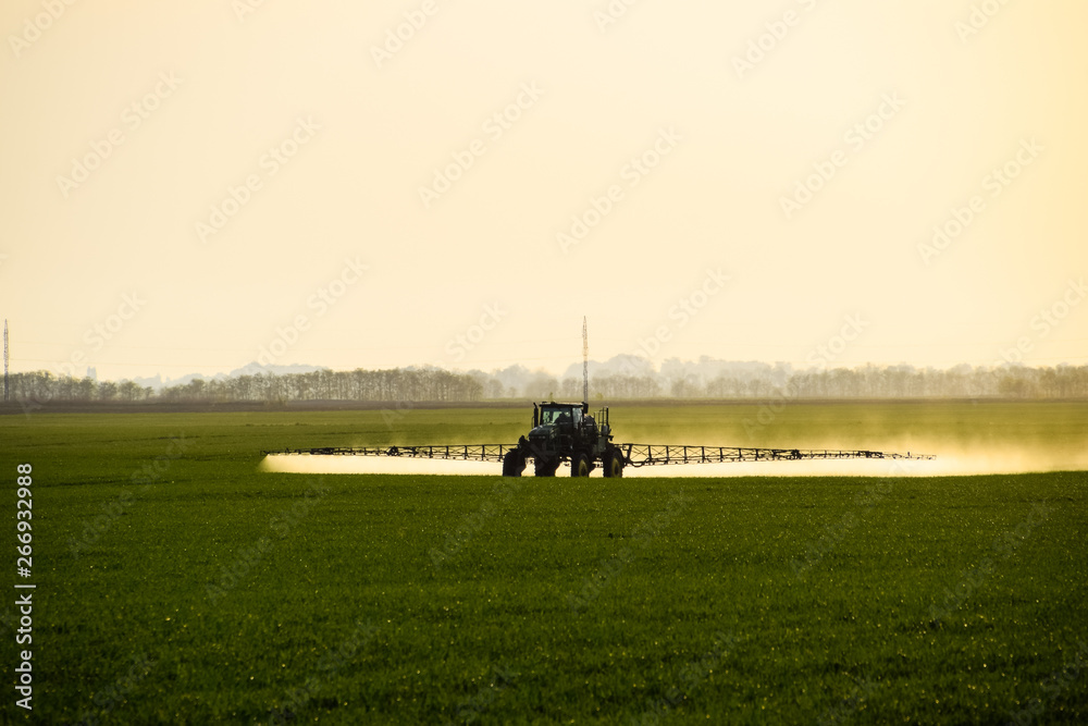 Fototapeta premium tractor with the help of a sprayer sprays liquid fertilizers on young wheat in the field.
