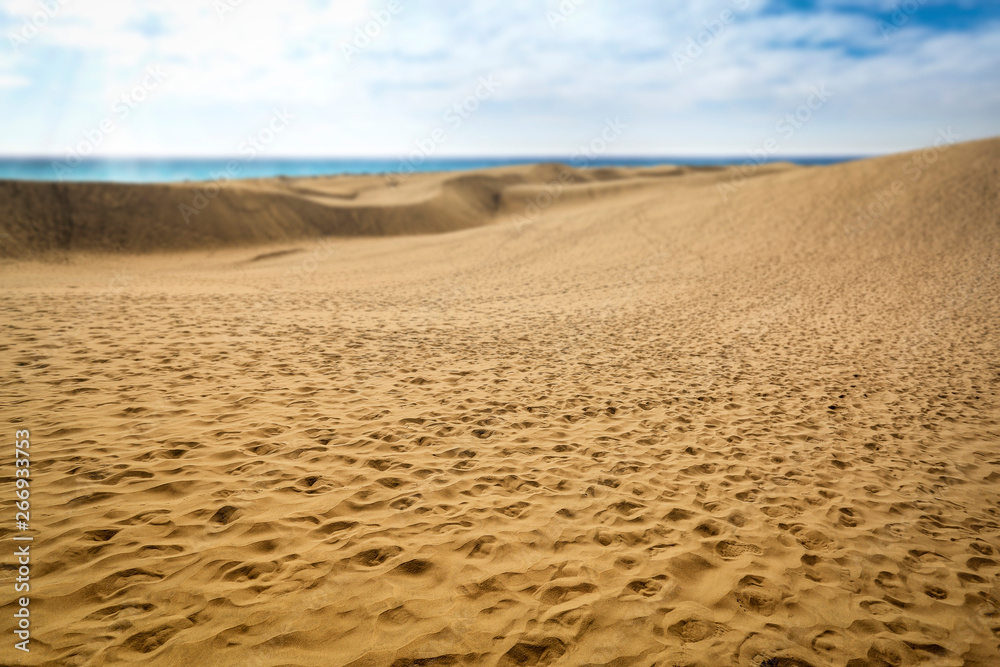 Summer background of free space for your decoration and ocean landscape Summer background of free space for your decoration and ocean landscape
