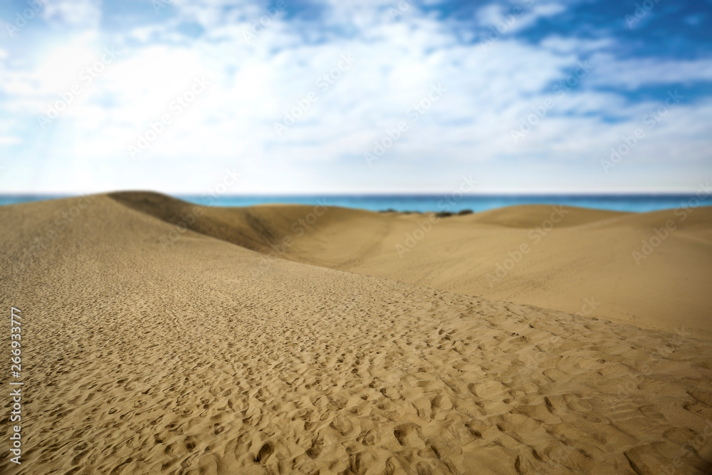 Summer background of free space for your decoration and ocean landscape Summer background of free space for your decoration and ocean landscape