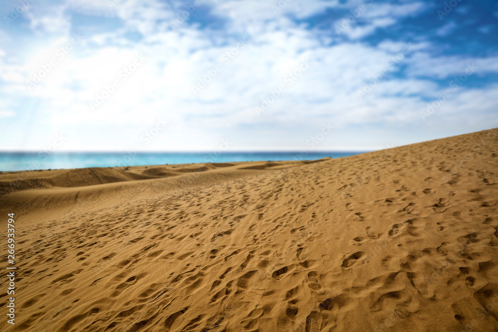 Summer background of free space for your decoration and ocean landscape Summer background of free space for your decoration and ocean landscape