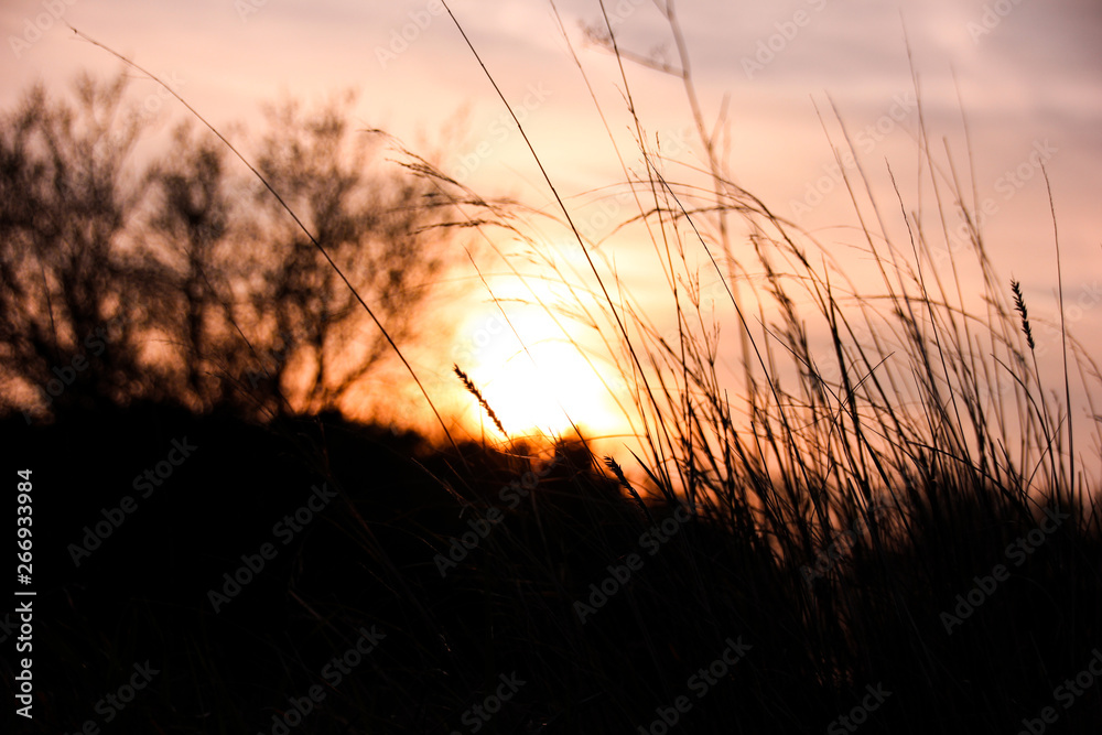 Paklenica Sunset Grass