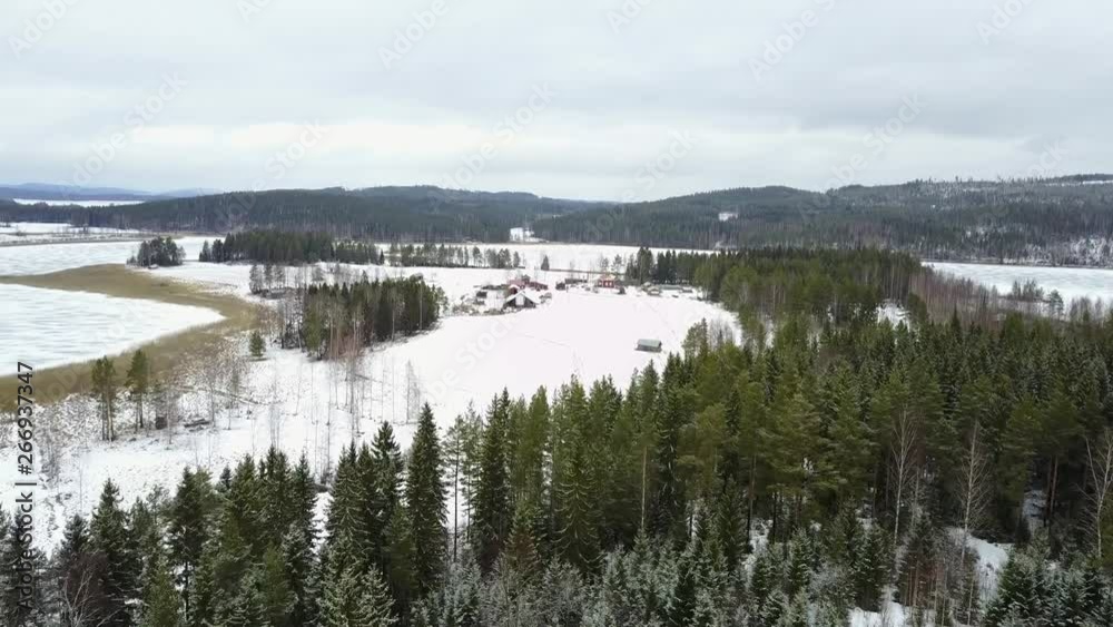 Aerial view of winter forest with frosty trees, rural road and village in Finland, Lapland Aerial view of winter forest with frosty trees, rural road and village in Finland, Lapland