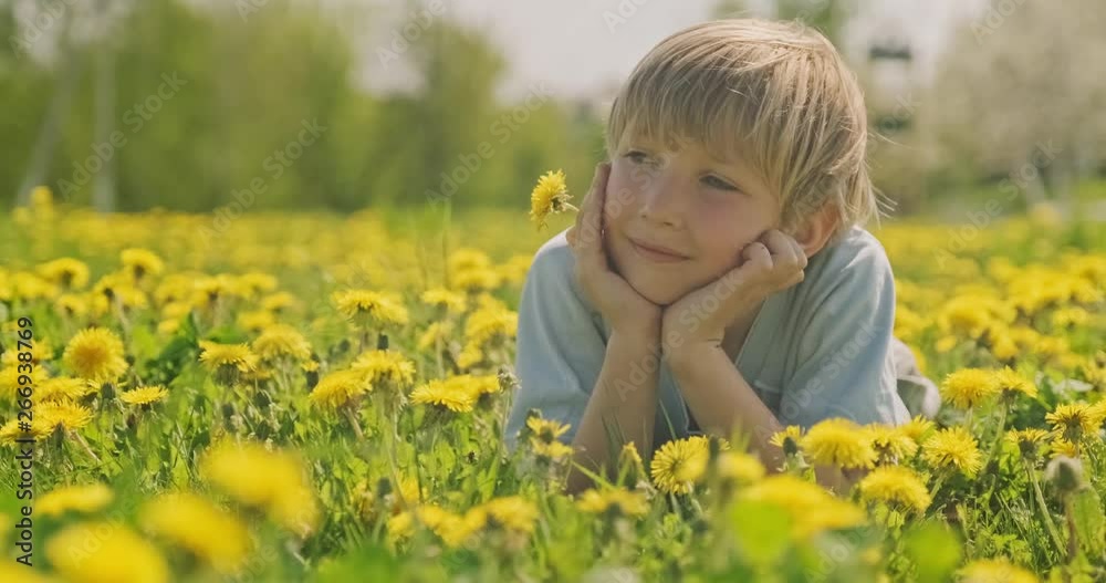 Happy caucasian little child is lying on a spring meadow and looking away. Happy 7 years old boy lies on a field with daisies, closeup view. Smiling face of a blond hair boy, on meadow. Slow motion Happy caucasian little child is lying on a spring meadow and looking away. Happy 7 years old boy lies on a field with daisies, closeup view. Smiling face of a blond hair boy, on meadow. Slow motion